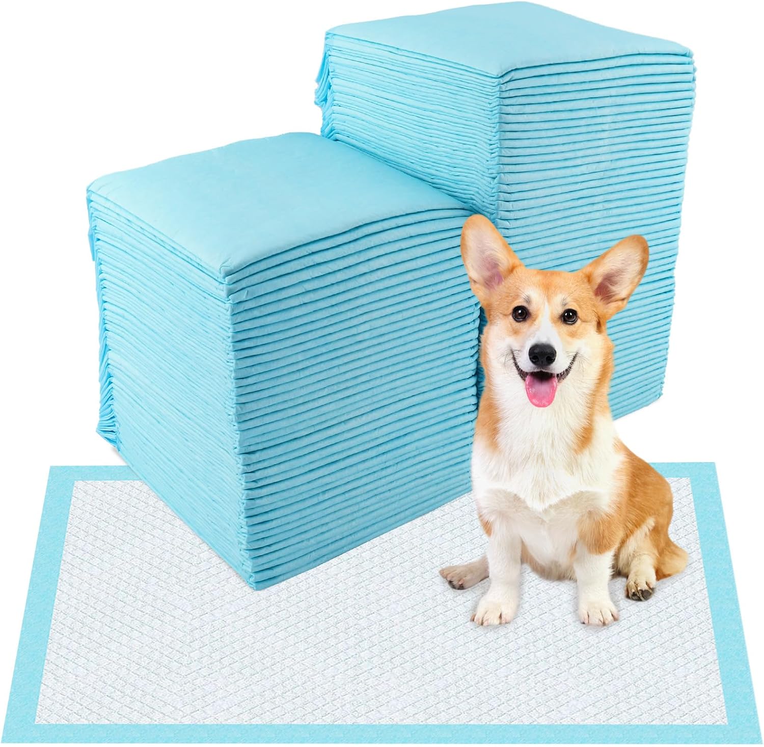 Vexillic Alaise Pour Chien