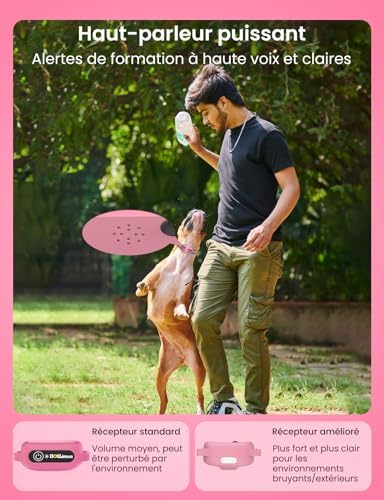 Vue 4 de Doglinsen Collier De Dressage