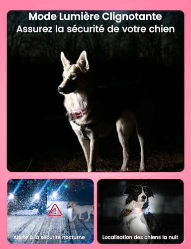 Vue 5 de Doglinsen Collier De Dressage