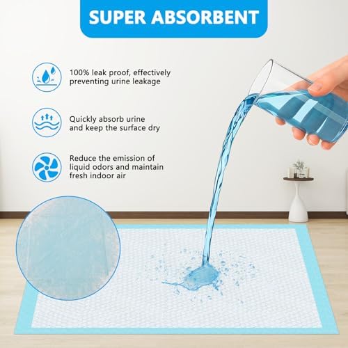 Vue 5 de Vexillic Alaise Pour Chien