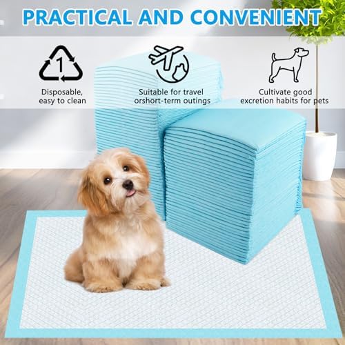 Vue 6 de Vexillic Alaise Pour Chien