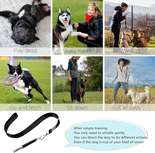 Vue 5 de Hryyds Paquets De Sifflet