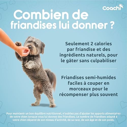 Vue 5 de Coachi Friandises Naturelles Pour