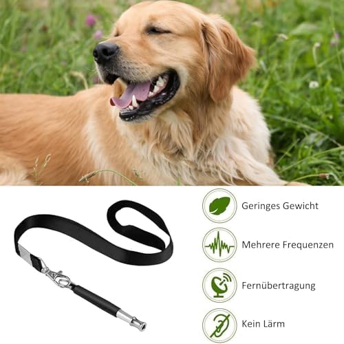 Vue 6 de Diffaxy Sifflet Ultrasons