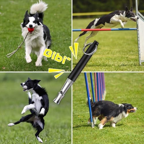 Vue 7 de Diffaxy Sifflet Ultrasons