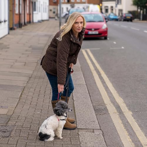 Vue 4 de Laisse De Controle Halti