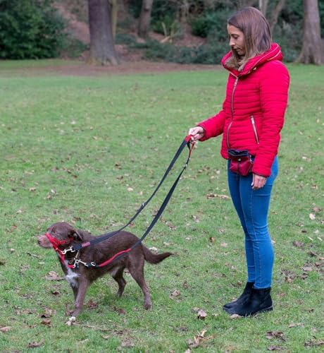 Vue 5 de Laisse De Controle Halti