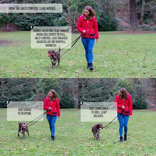 Vue 6 de Laisse De Controle Halti