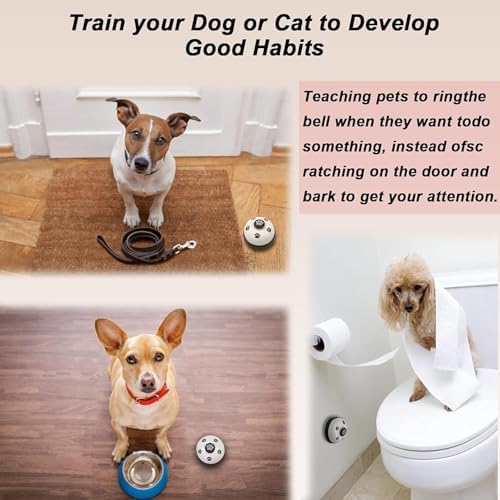 Vue 5 de Ystrillion Sonnettes Pour Chiens