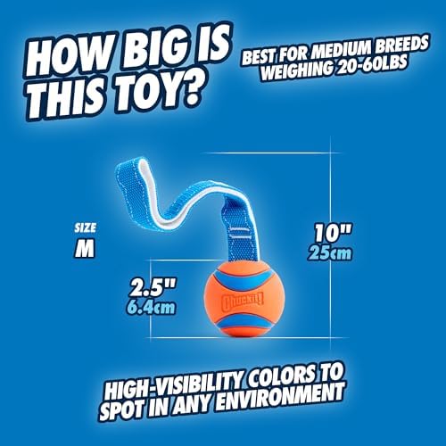 Vue 4 de Chuckit Ultra Tug Jouet