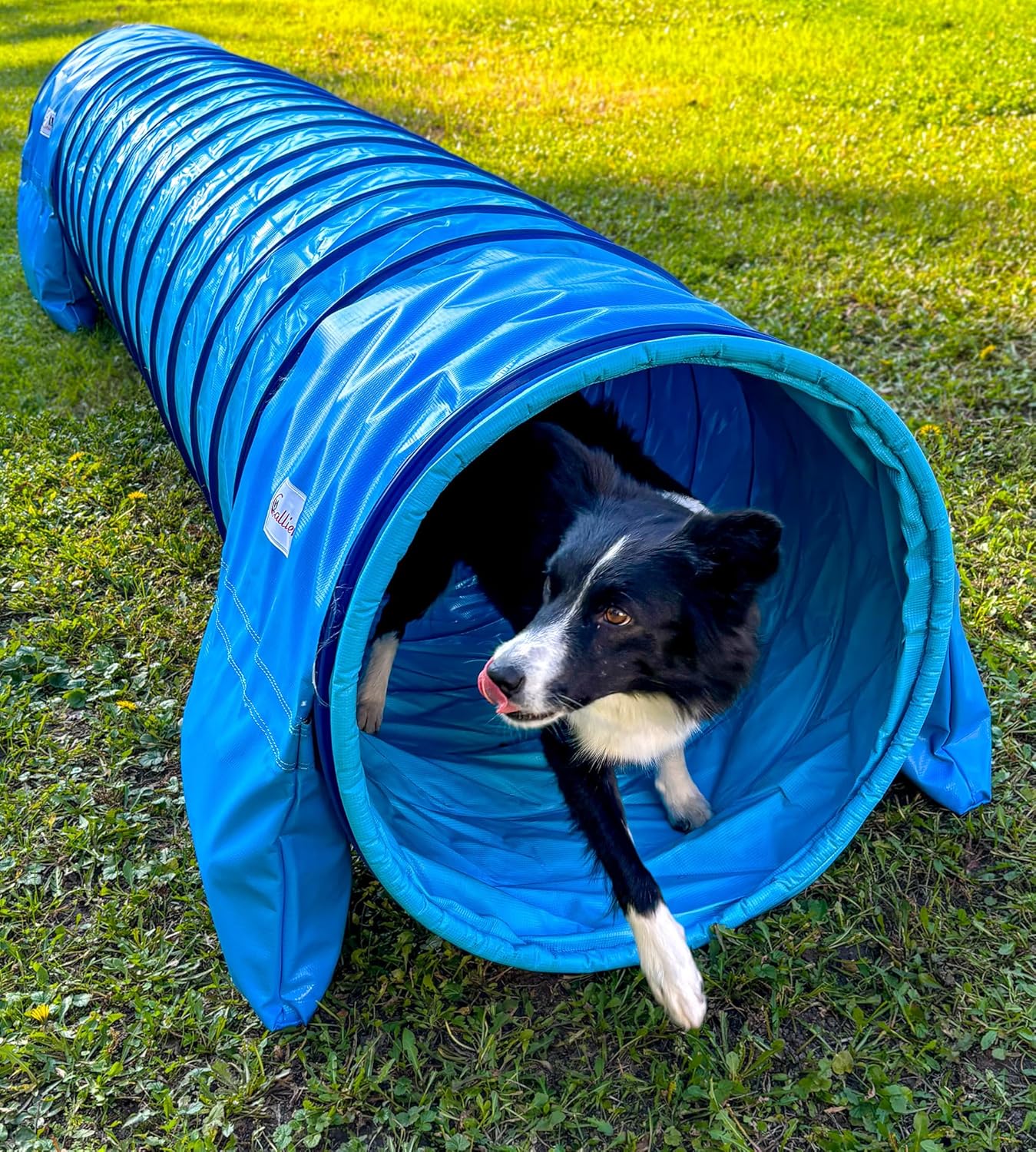 Callieway Dog Agility Tunnel