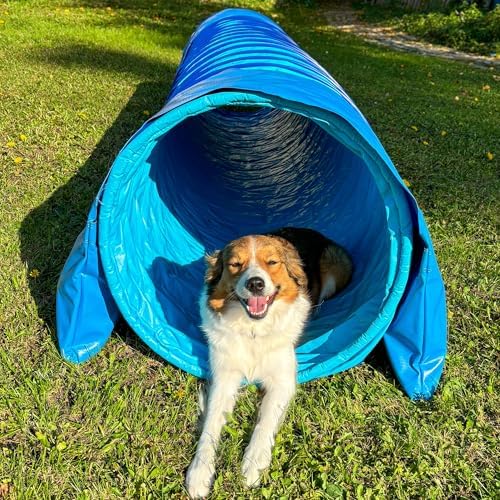 Vue 4 de Callieway Dog Agility Tunnel