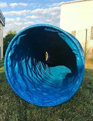 Vue 2 de Dog Copenhagen Agility Run