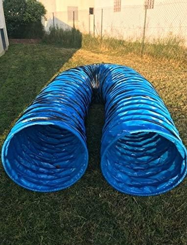 Vue 3 de Dog Copenhagen Agility Run