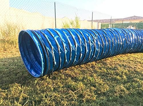 Vue 4 de Dog Copenhagen Agility Run