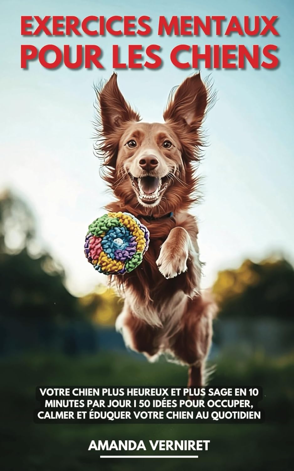 Vue 4 de La Methode Educ Dog