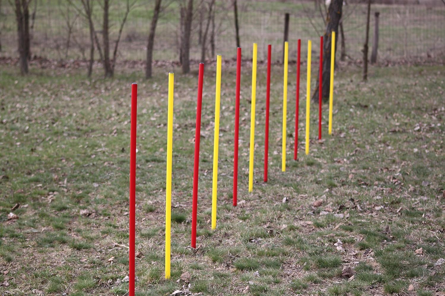 Éducation et Dressage - Accessoires chien professionnels et produits bien-être canin