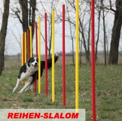 Vue 4 de Agility Slalom Kit Piquets