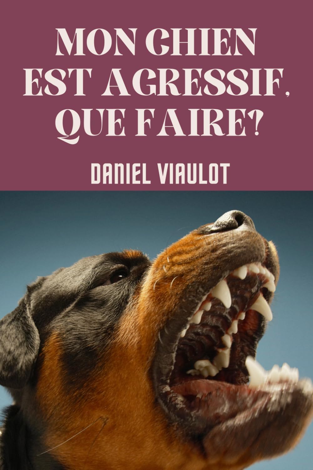 Vue 6 de Dressage Du Chien Guide