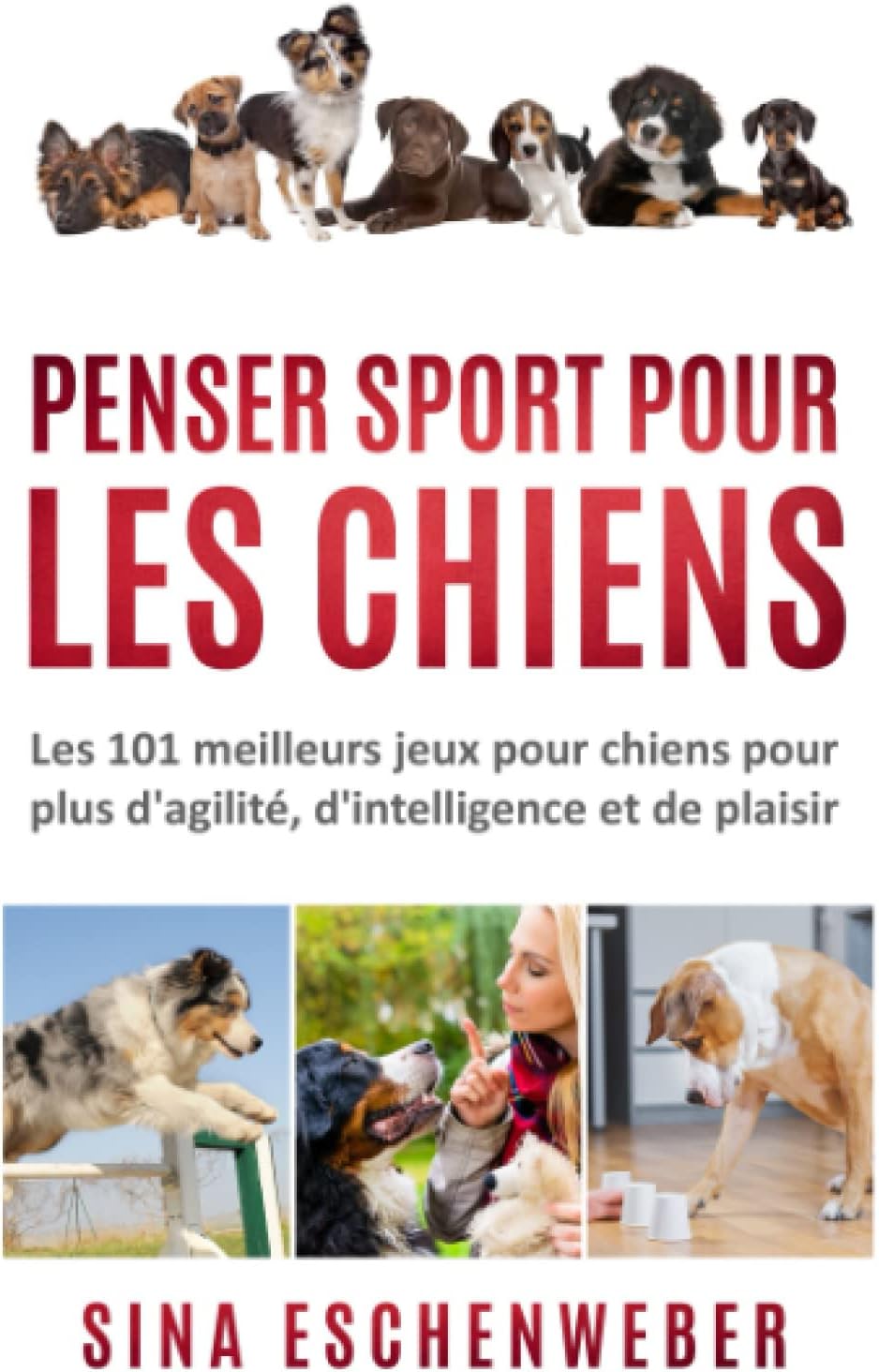 Vue 7 de Dressage Du Chien Guide