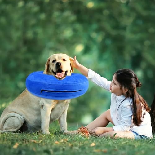 Vue 4 de Lixiluxia Collerette Chien Gonflable