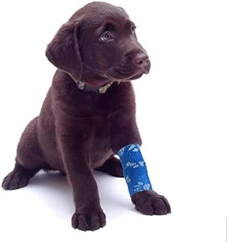 Vue 6 de Rouleaux Vet Wrap Bandage