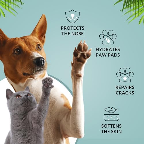 Vue 2 de Biogance Baume Coussinets Et