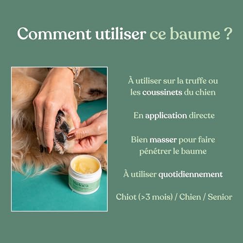 Vue 6 de Baume Coussinet Chien Repare