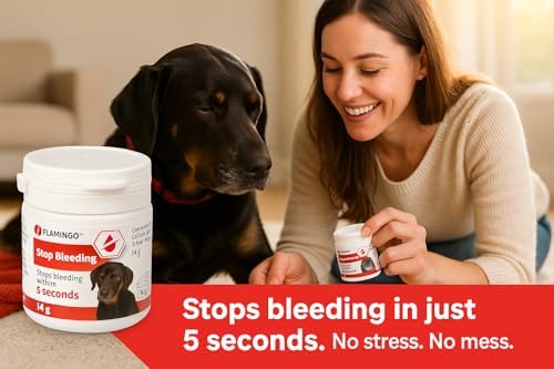 Vue 2 de Flamingo Poudre Antisaignement Dalko