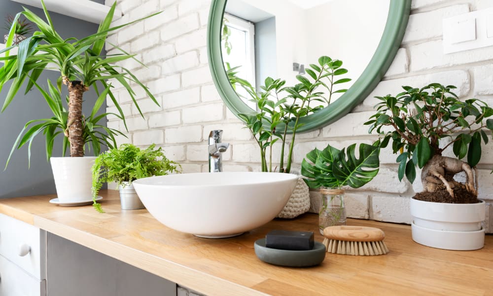 Plantas baño