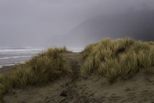 Landscapes