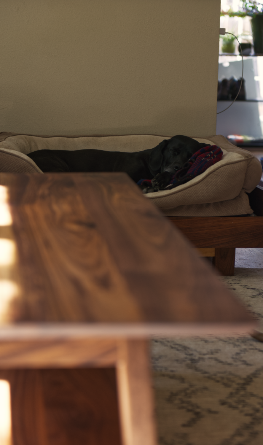 Coffee Table — tea detail