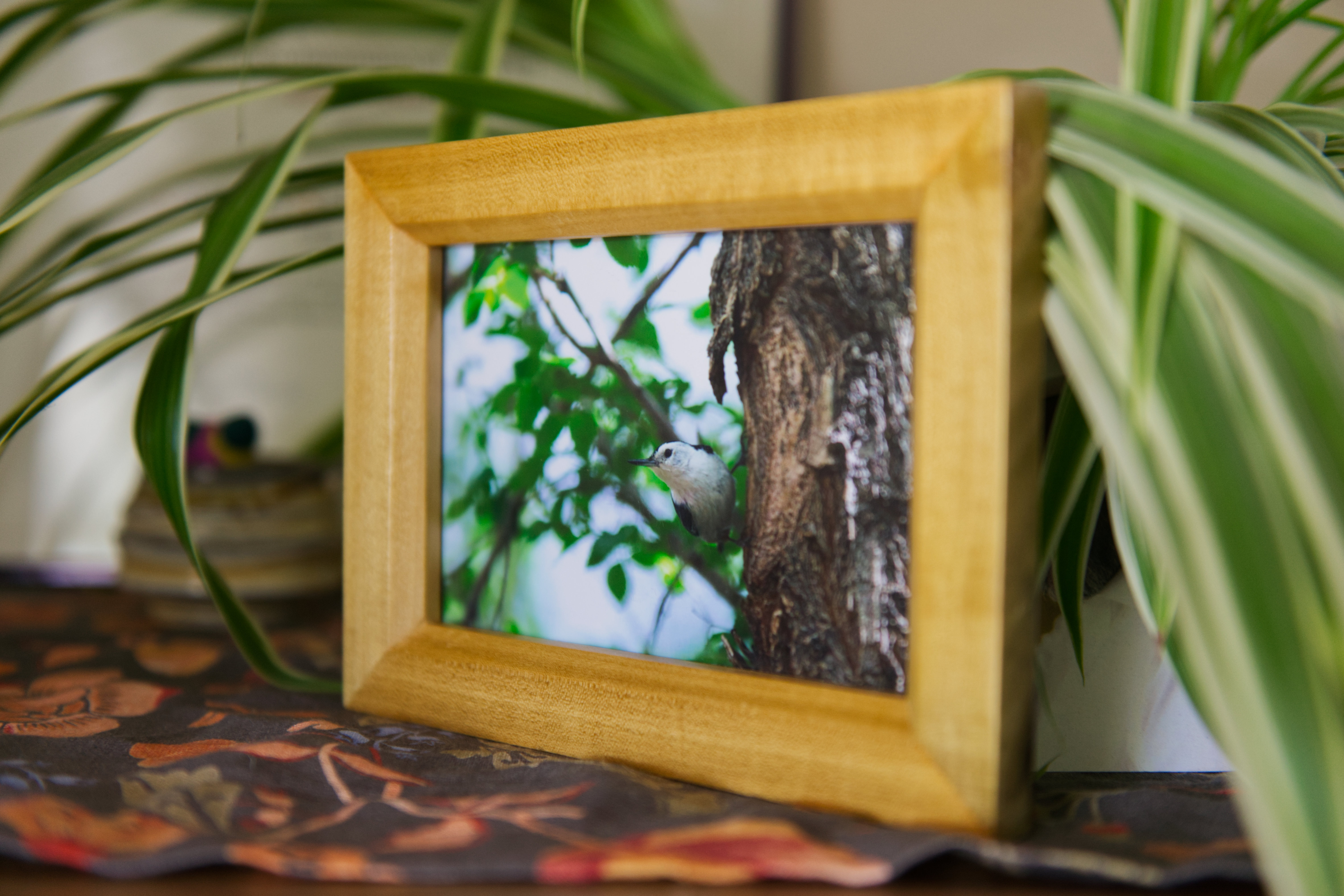Nuthatch Picture Frame