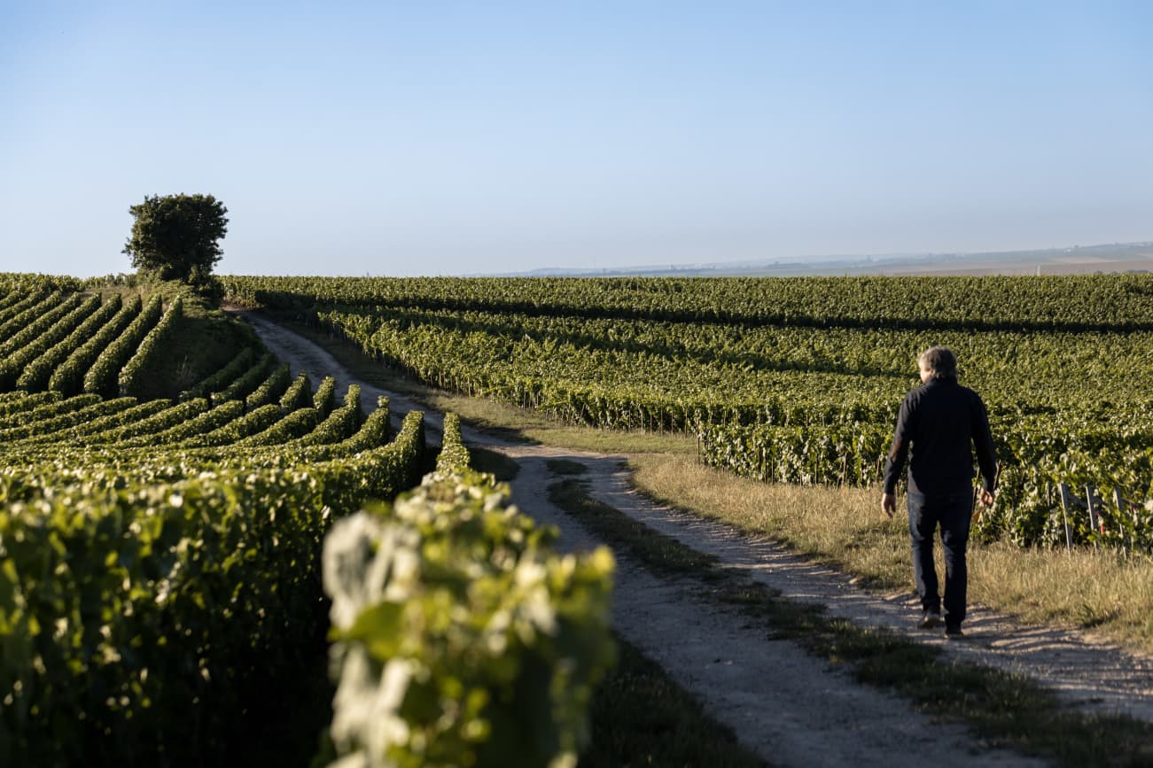 Champagne Arnaud Beaufort et Fils at Trpail
