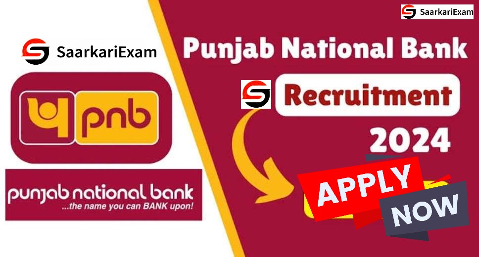 Punjab National Bank PNB Apprentices Online Form 2024 for 2700 Post. image