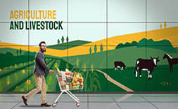 Supermarket