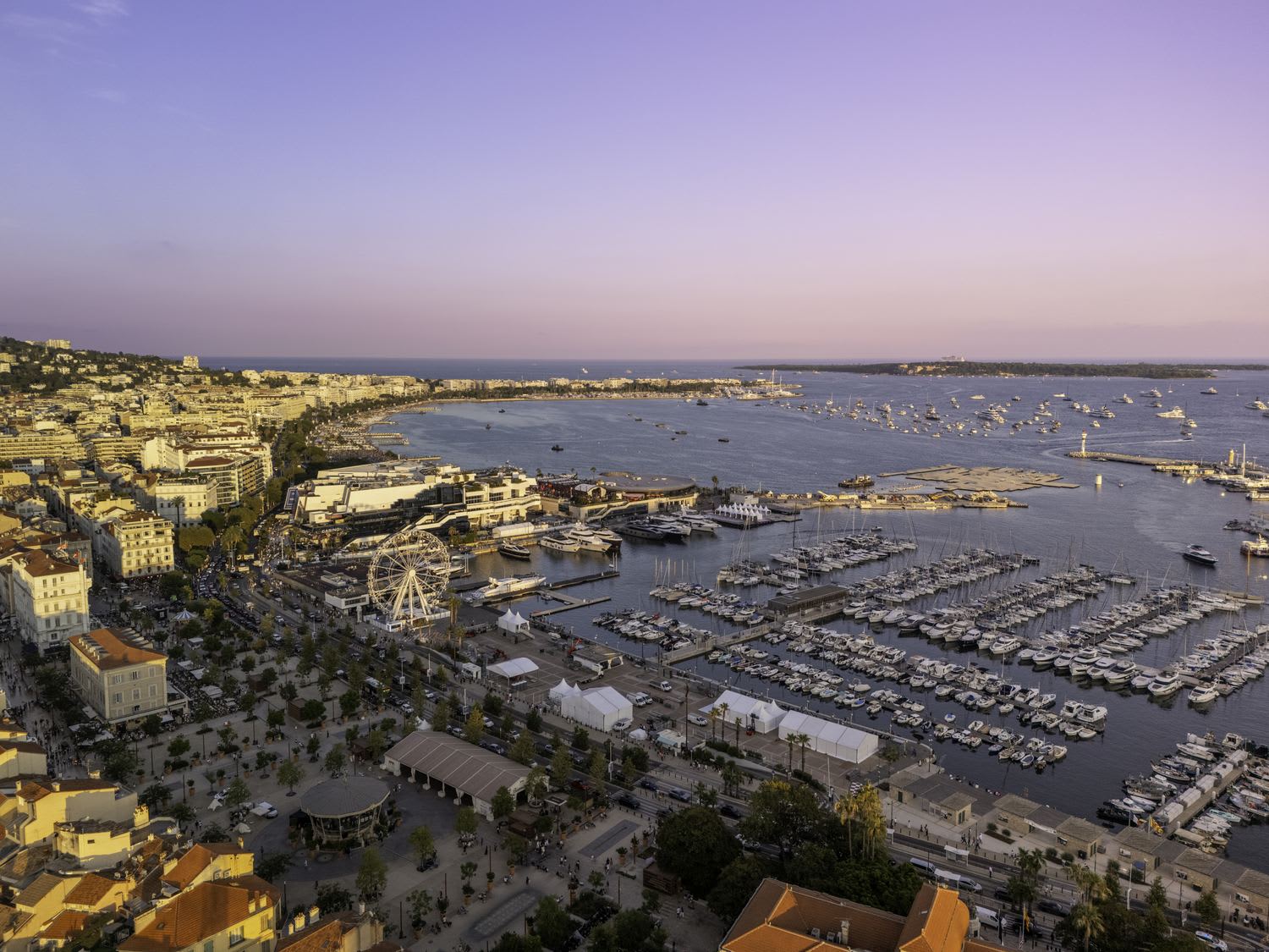 Vue aérienne du Vieux Port de Cannes au crépuscule violet