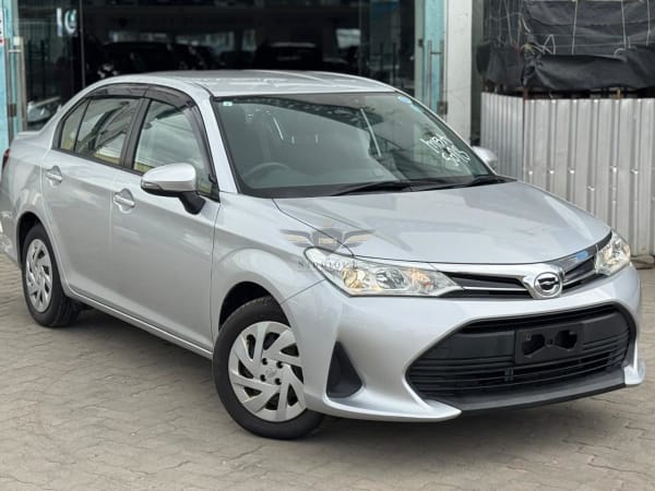2019 TOYOTA AXIO