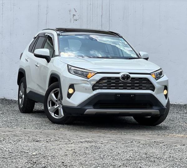 2019 TOYOTA RAV4