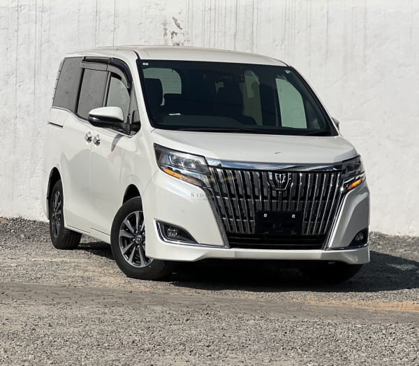 2019 TOYOTA ESQUIRE