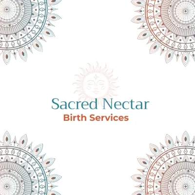 Ariana Solodar Wincele - Birth Professional Profile