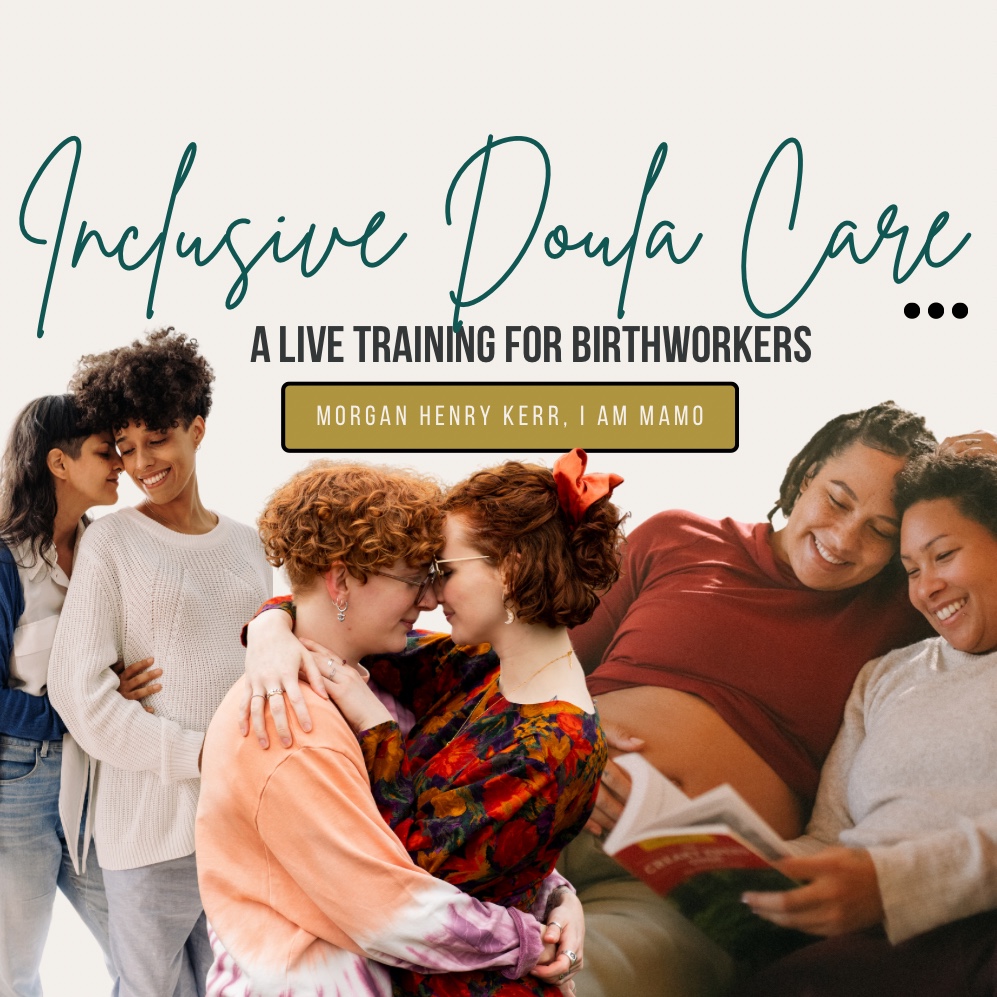 Inclusive Birthworker Guide