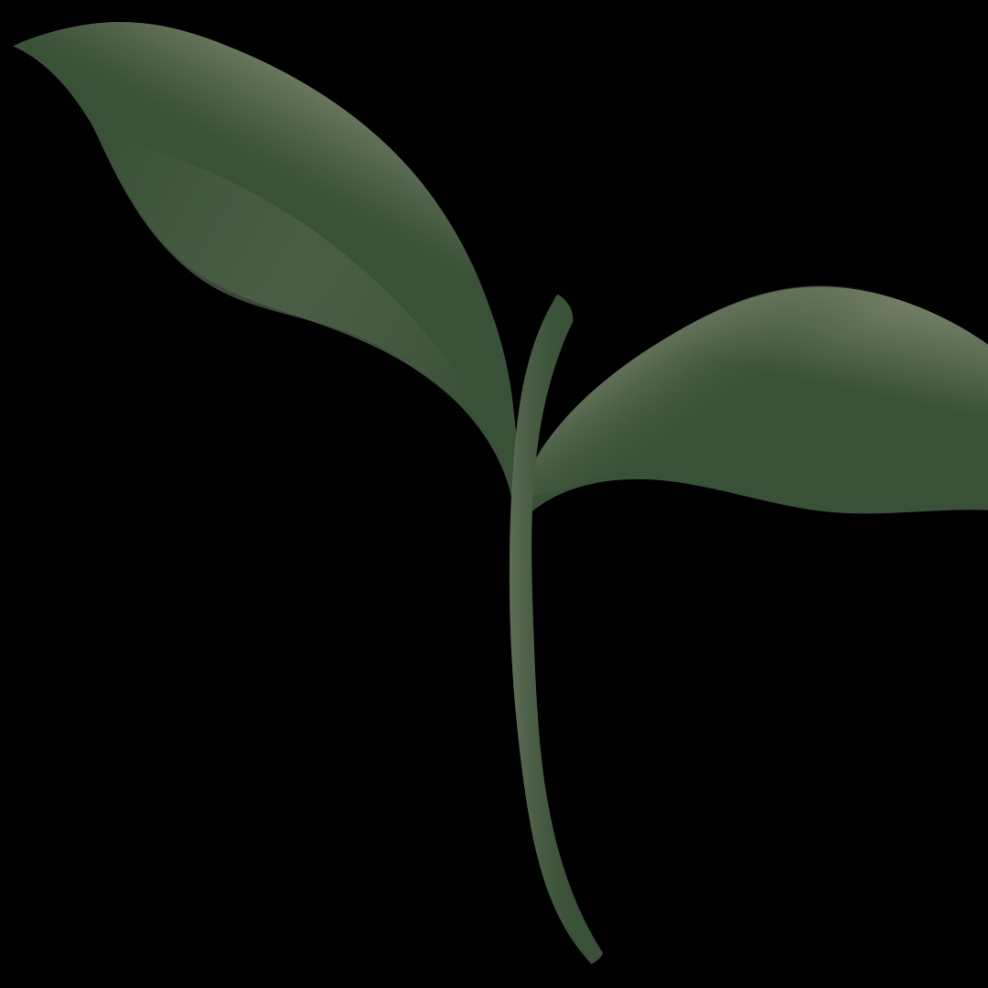 Kristi Hammerle - Birth Professional Profile