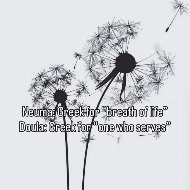 Kaylee Freeman - Birth Professional Profile