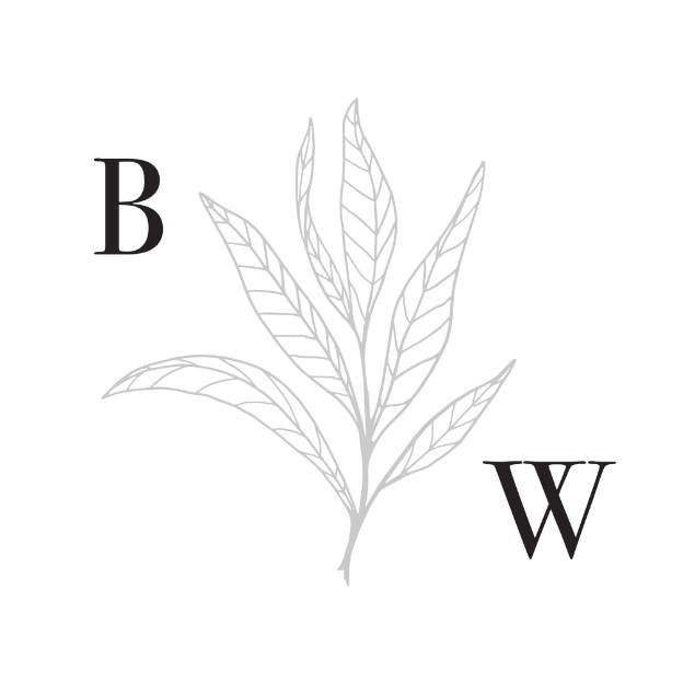 Theresa Roman - Birth Professional Profile