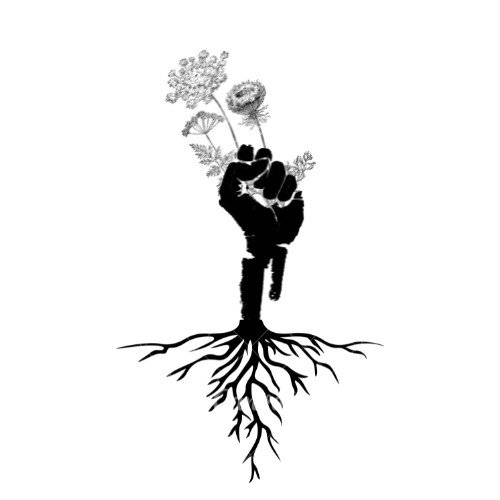 Amariee Collins - Birth Professional Profile