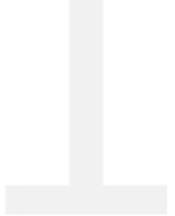 Decorative T shape