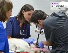 Hospital Veterinari Glòries