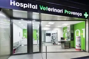 Hospital Veterinari Barcelona (HVB)
