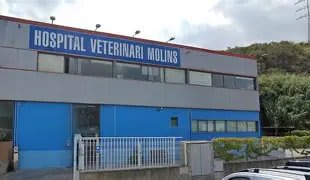 Hospital Veterinari de Molins
